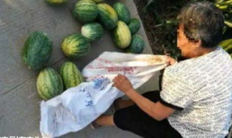 临武吃瓜最新事件爆料,最新爆料揭示惊人内幕